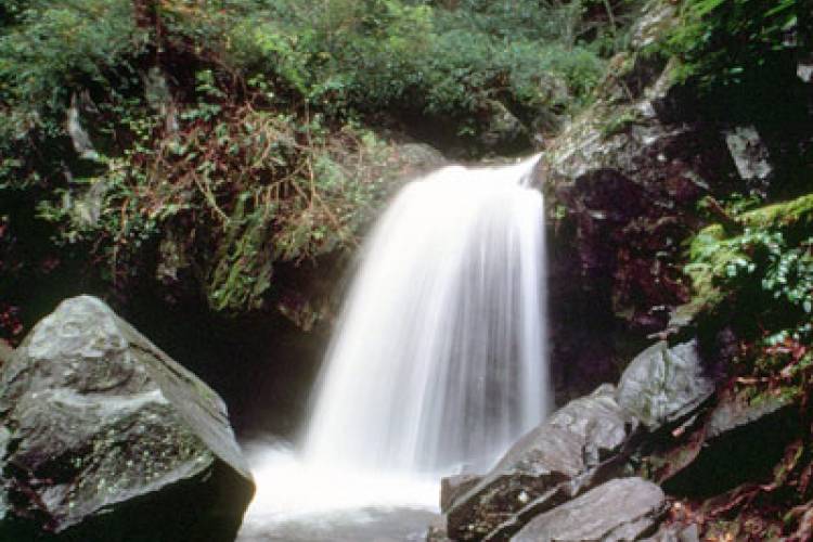 Image of waterfall.