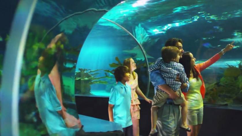 Family at the aquarium.