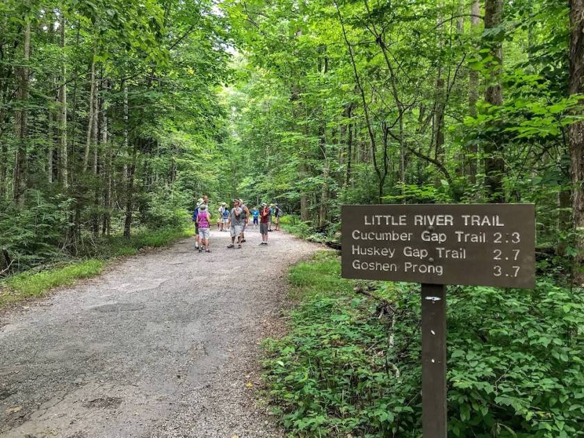 View of little river trail.